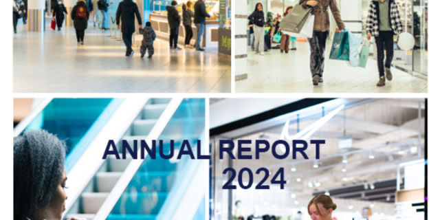 annual_report_2024_3_.png